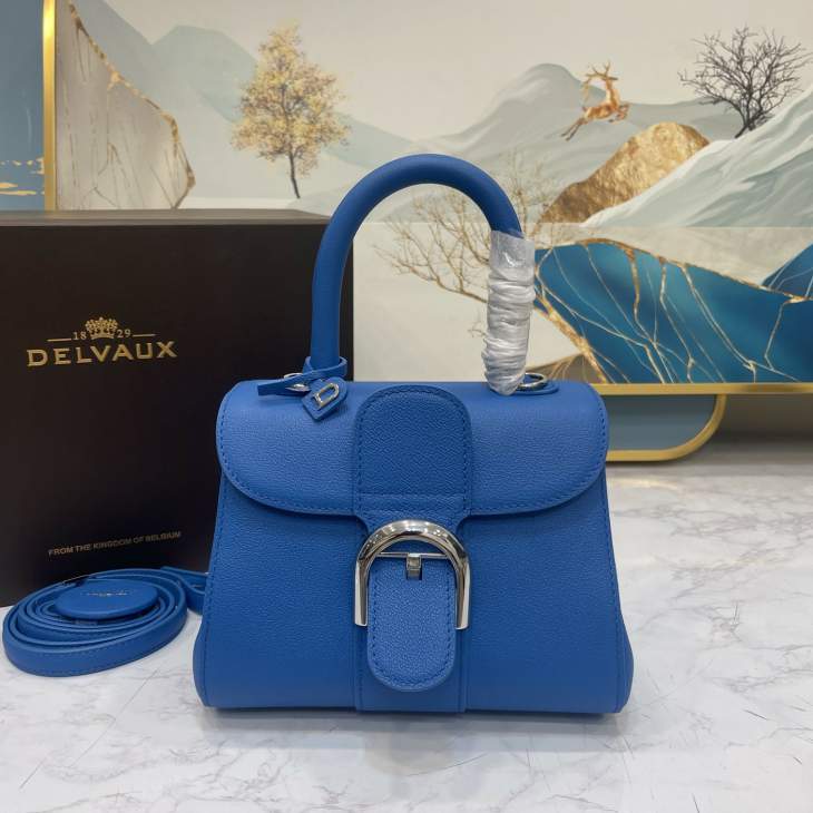 Picture of Delvaux Handbags _SKUfw176136963fw